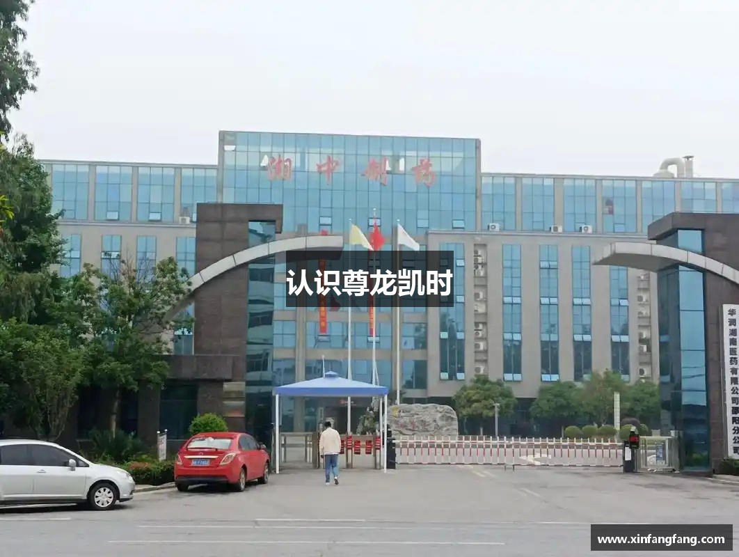 认识尊龙凯时
